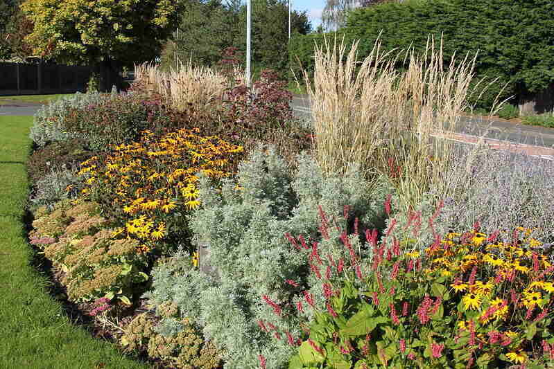 Ornamental flower bed with a variety of flowers and ornamental grasses