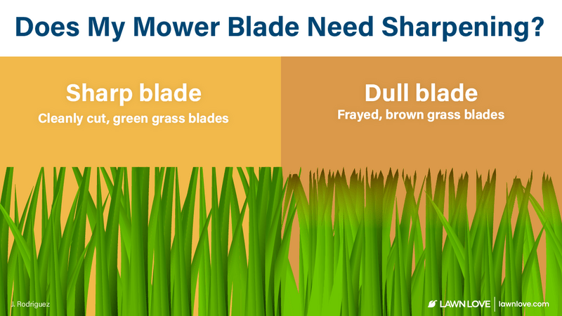illustration depicting the grass cut with a sharp blade vs a dull blade