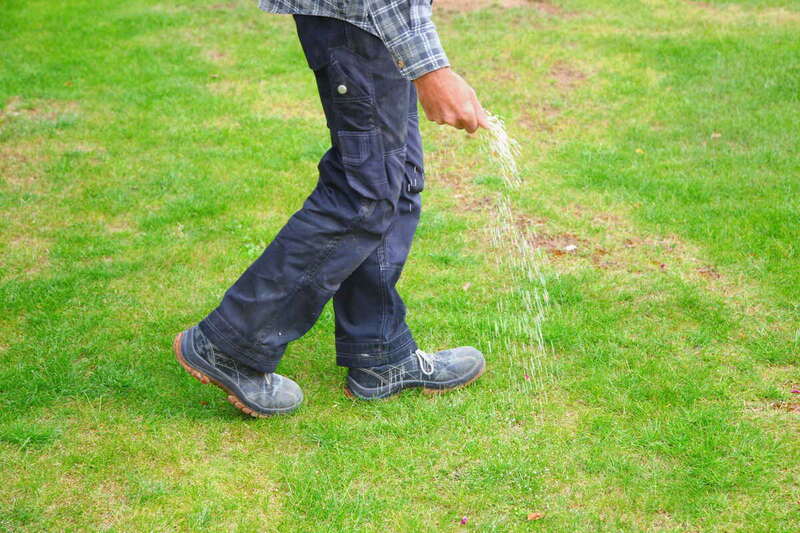 one man farmer is fertilizing the lawn soil. male hand of worker, Fertilizer For Lawns in springtime for the perfect lawn. Organic lawn fertilizer in man's hand on garden